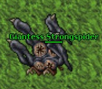 Giantess Strongspider